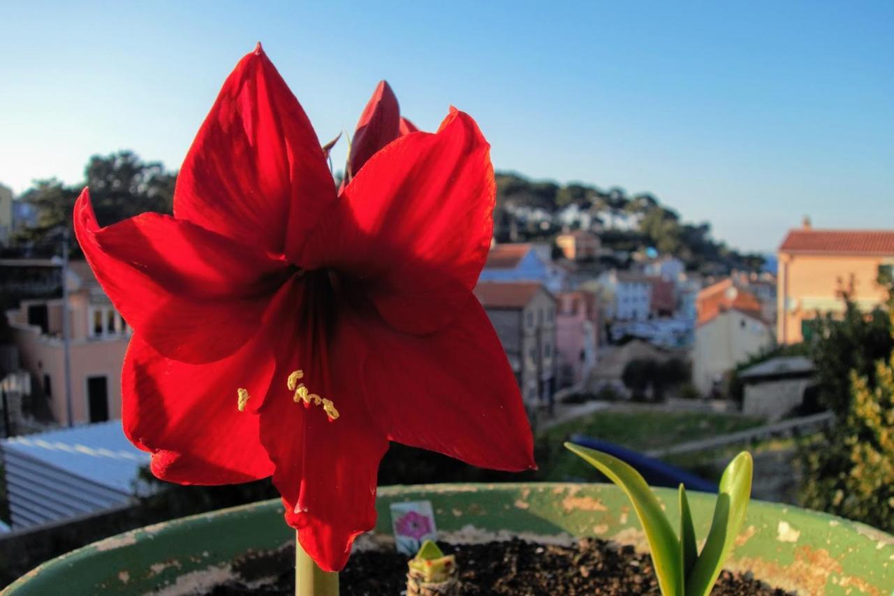 Amaryllis Residence, Apartment Diana & Deluxe Rooms With Shared Kitchen Veli Losinj Luaran gambar