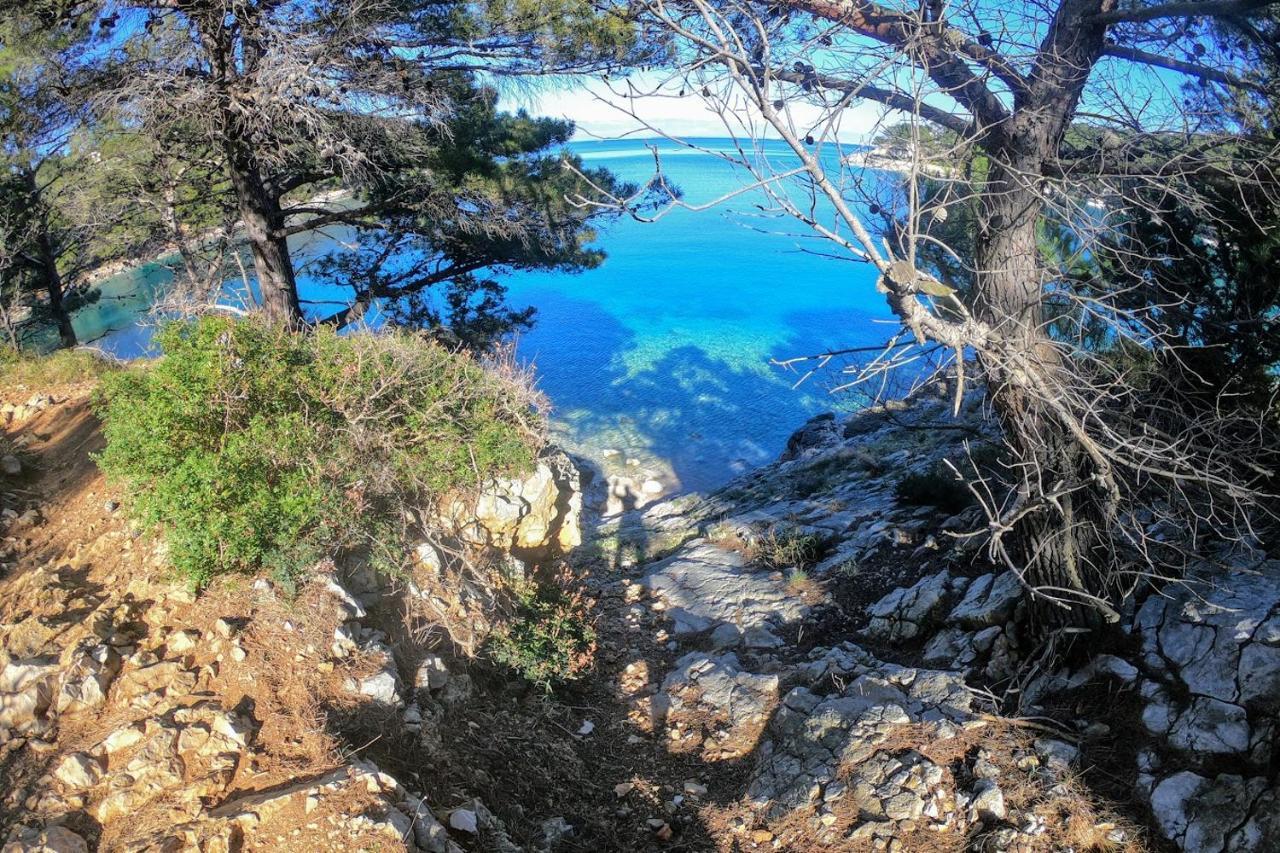 Amaryllis Residence, Apartment Diana & Deluxe Rooms With Shared Kitchen Veli Losinj Luaran gambar