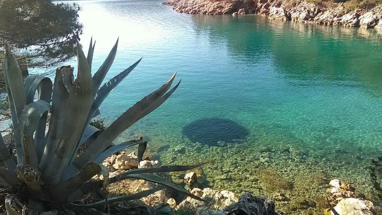 Amaryllis Residence, Apartment Diana & Deluxe Rooms With Shared Kitchen Veli Losinj Luaran gambar