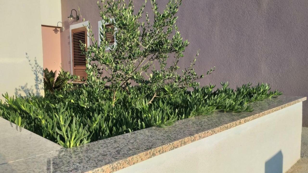 Amaryllis Residence, Apartment Diana & Deluxe Rooms With Shared Kitchen Veli Losinj Luaran gambar